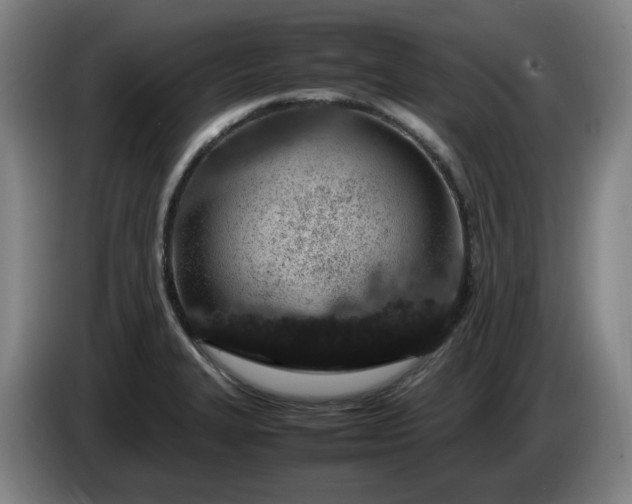 X0000085781327200703301417