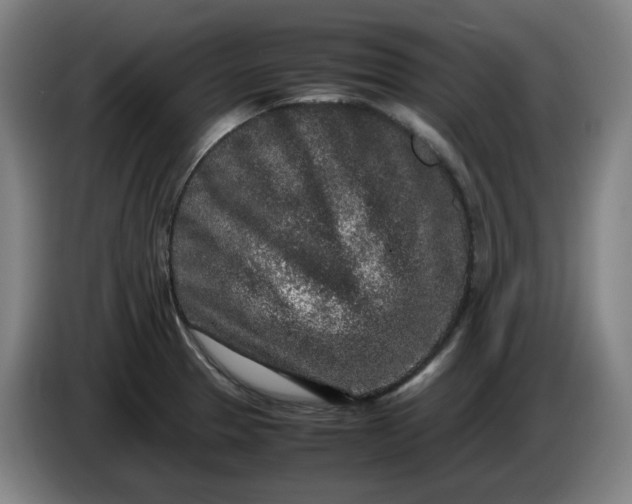 X0000085781329200703301417