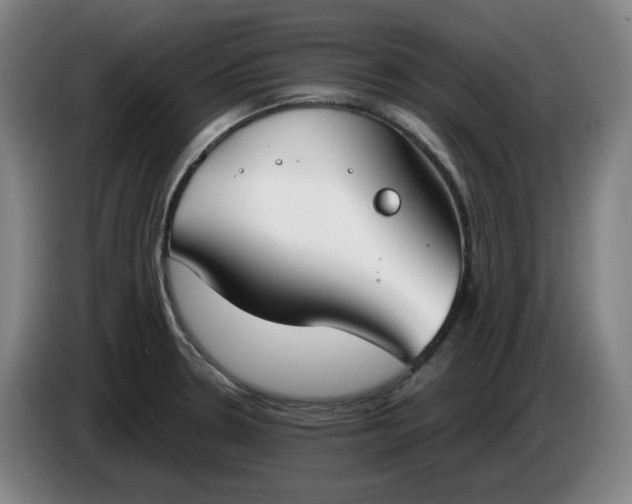 X0000085781330200703301417