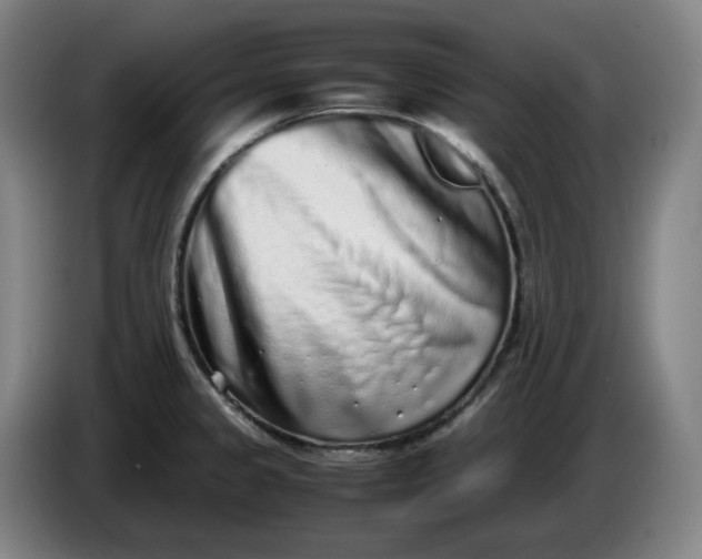 X0000085781333200703301417