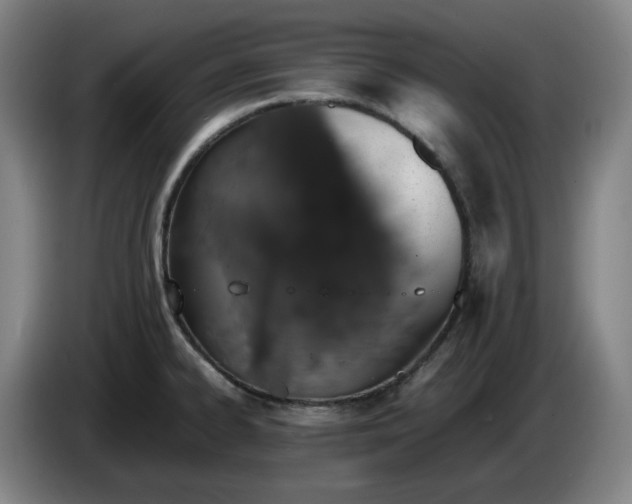 X0000085781334200703301417