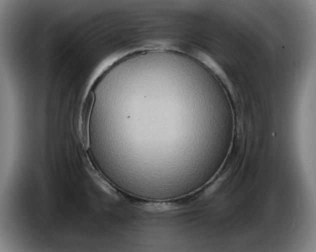 X0000085781336200703301417