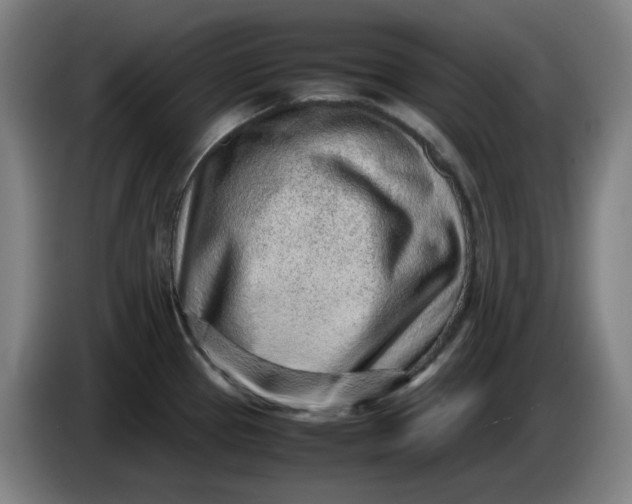 X0000085781337200703301417