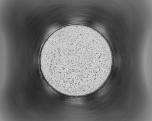 X0000085781338200703301417