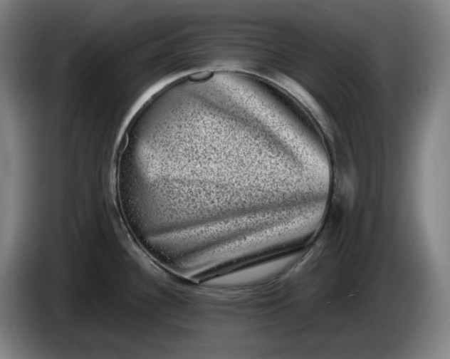 X0000085781340200703301417