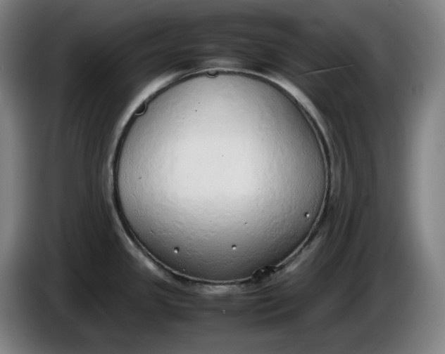 X0000085781341200703301417