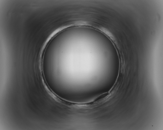 X0000085781342200703301417