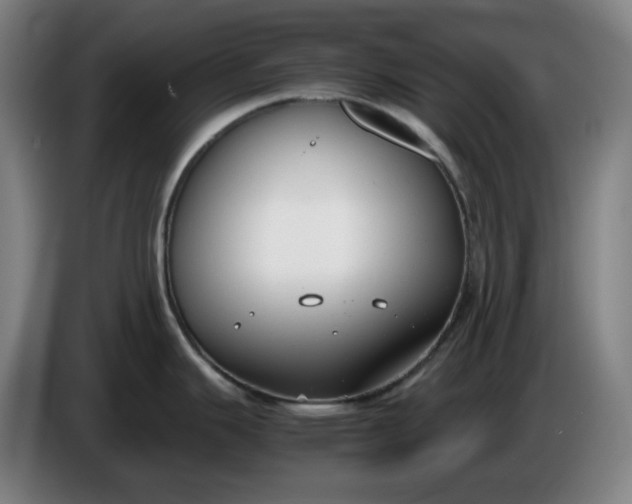 X0000085781343200703301417