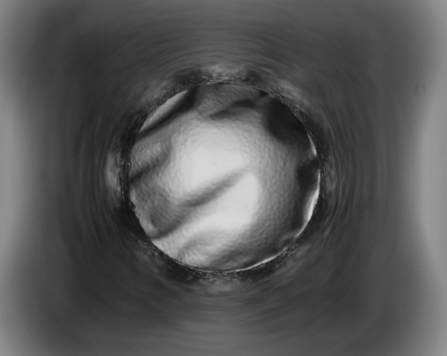 X0000085781346200703301416