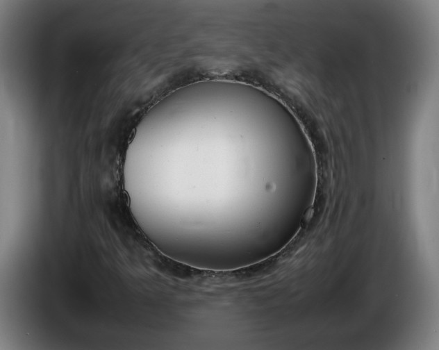 X0000085781349200703301416