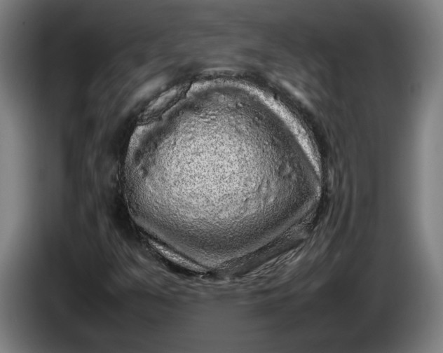 X0000085781351200703301416