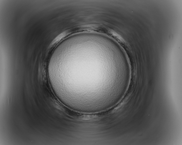 X0000085781354200703301416