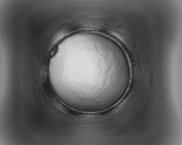 X0000085781355200703301416