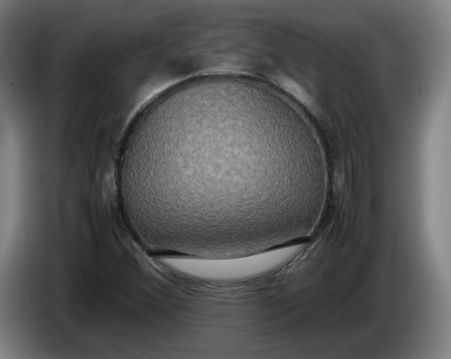 X0000085781356200703301416