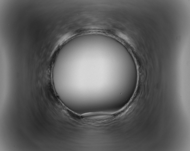 X0000085781357200703301416