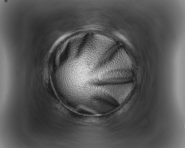 X0000085781358200703301416