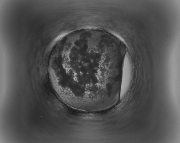 X0000085781359200703301416