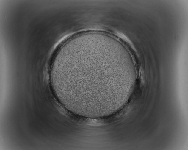 X0000085781360200703301416