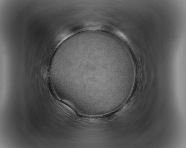 X0000085781361200703301416