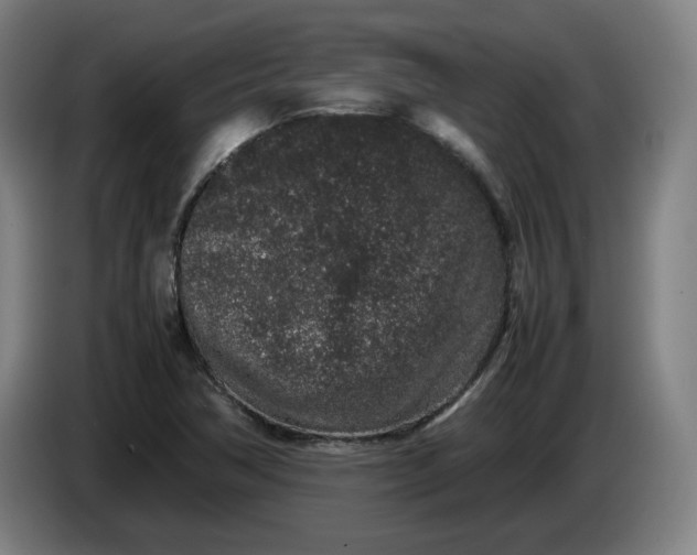 X0000085781362200703301416