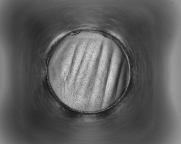 X0000085781363200703301416