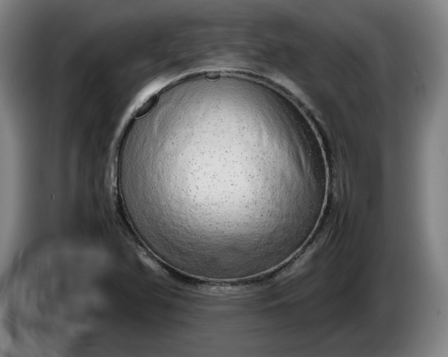 X0000085781366200703301416