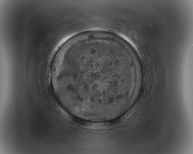 X0000085781367200703301416