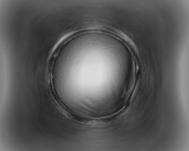 X0000085781368200703301416