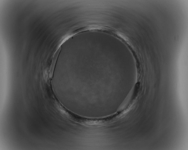 X0000085781369200703301416