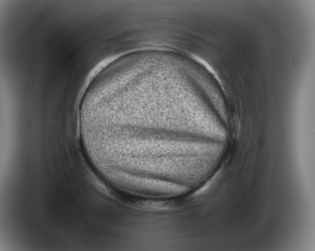 X0000085781371200703301416