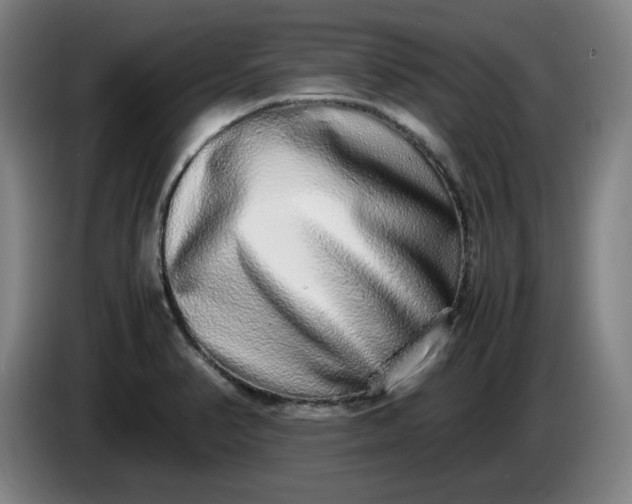 X0000085781374200703301416