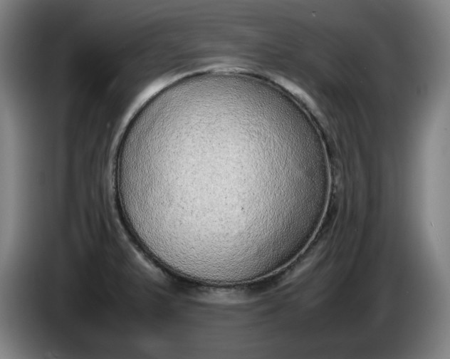 X0000085781375200703301416