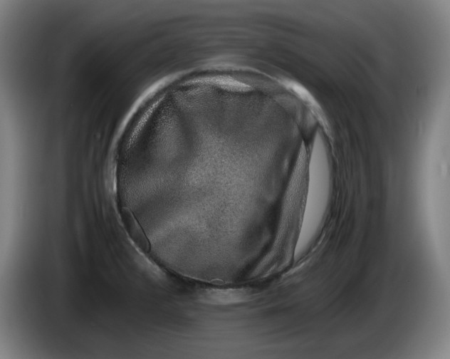 X0000085781376200703301416