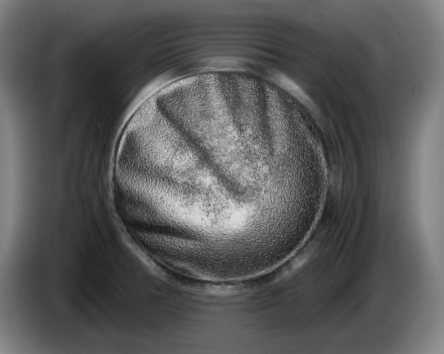 X0000085781378200703301416