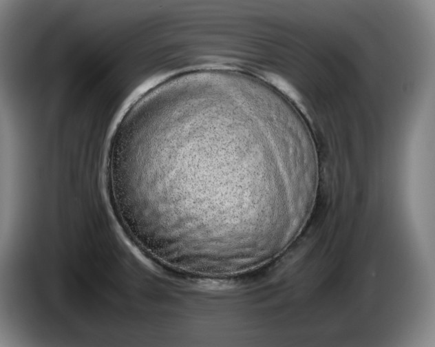 X0000085781379200703301416