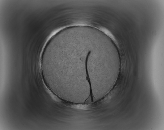 X0000085781380200703301416