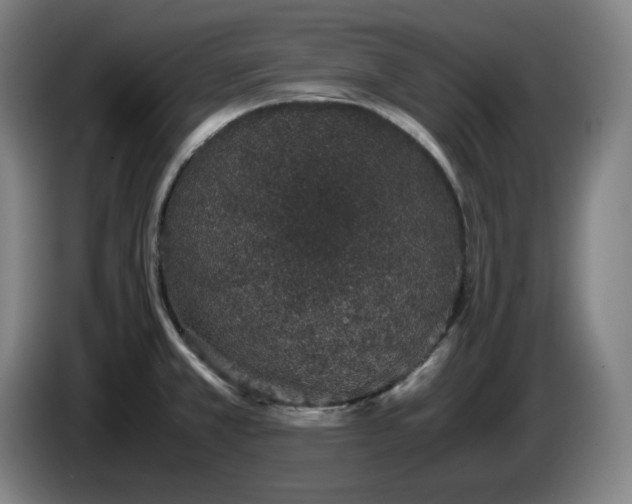 X0000085781381200703301416