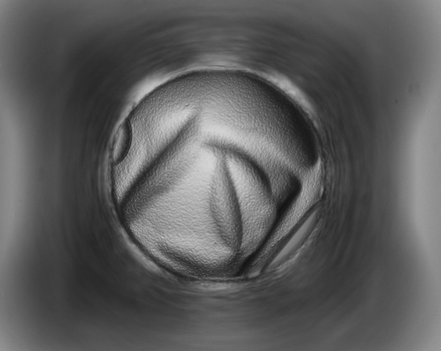 X0000085781382200703301416