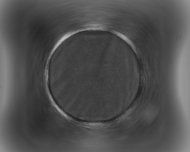 X0000085781383200703301415