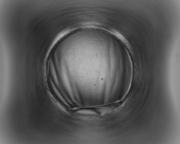 X0000085781384200703301415