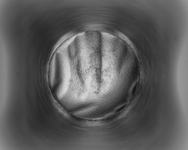 X0000085781386200703301415