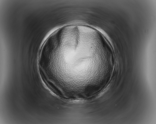 X0000085781390200703301415