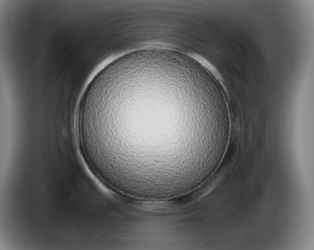 X0000085781391200703301415