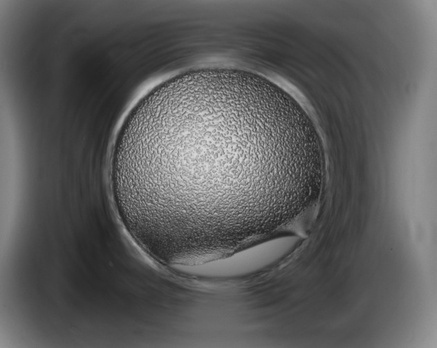 X0000085781392200703301415