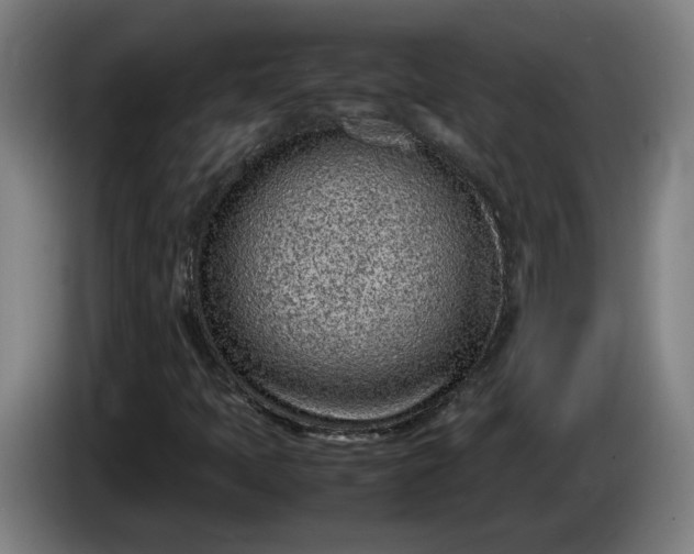 X0000085781397200703301415