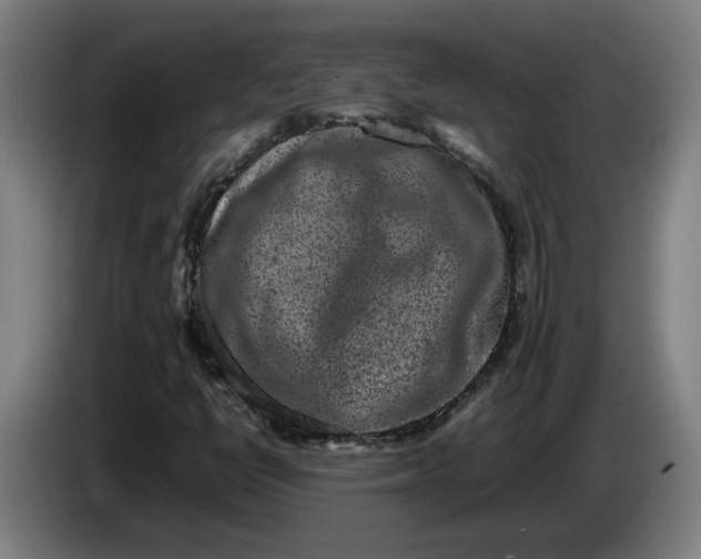 X0000085781398200703301415