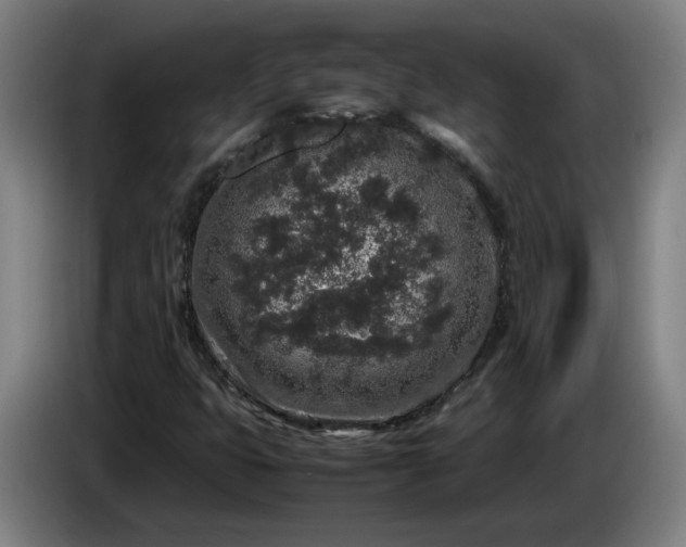 X0000085781399200703301415