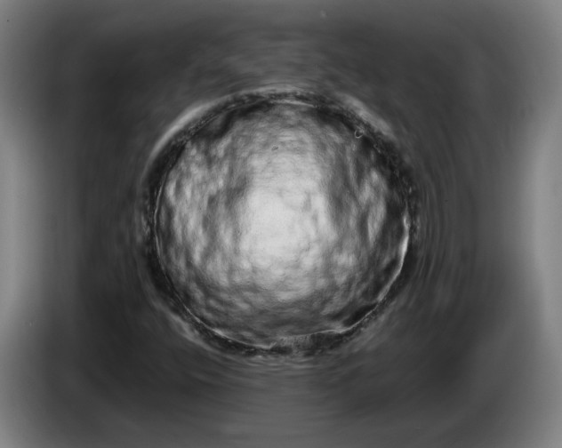 X0000085781400200703301415