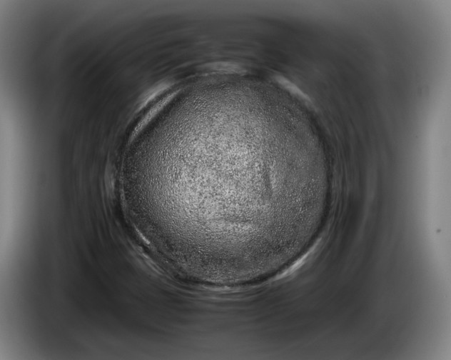 X0000085781401200703301415