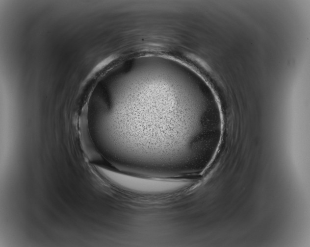 X0000085781402200703301415